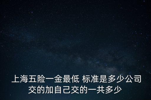  上海五險(xiǎn)一金最低 標(biāo)準(zhǔn)是多少公司交的加自己交的一共多少