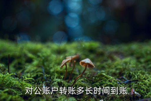  對公賬戶轉(zhuǎn)賬多長時(shí)間到賬