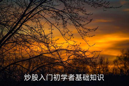 炒股入門初學者基礎(chǔ)知識