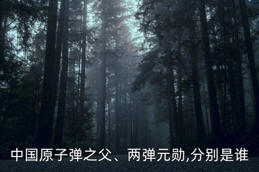 中國(guó)原子彈之父、兩彈元?jiǎng)?分別是誰(shuí)