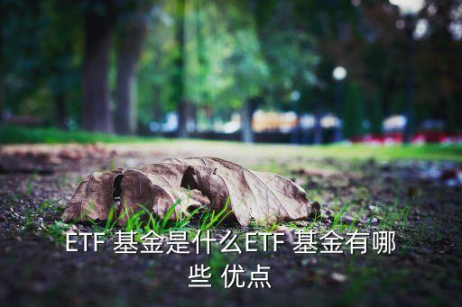 ETF 基金是什么ETF 基金有哪些 優(yōu)點