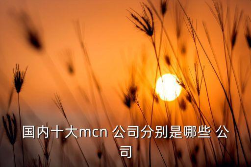 中國派隊(duì)文化公司怎么樣