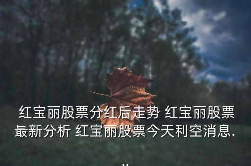 紅寶麗集團(tuán)股份有限公司怎么樣,南京紅寶麗股份有限公司