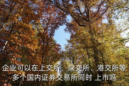 企業(yè)可以在上交所、深交所、港交所等多個(gè)國內(nèi)證券交易所同時(shí) 上市嗎