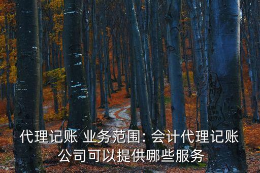 代理記賬 業(yè)務(wù)范圍: 會計代理記賬 公司可以提供哪些服務(wù)