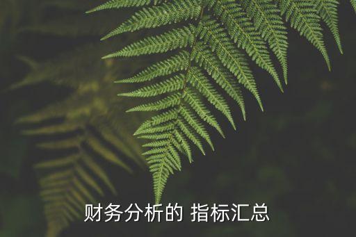 財務分析的 指標匯總