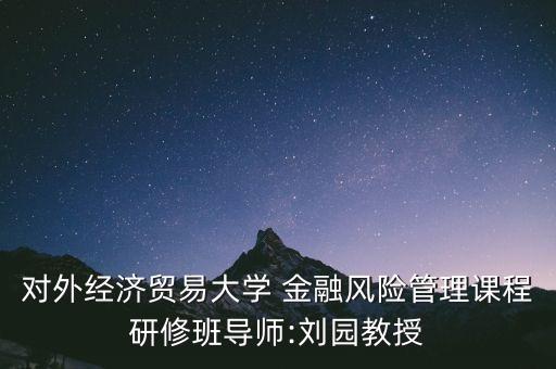 對外經(jīng)濟貿(mào)易大學 金融風險管理課程研修班導師:劉園教授