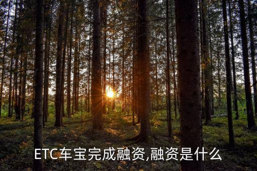 etc是什么投資模式,ETC的全稱是什么