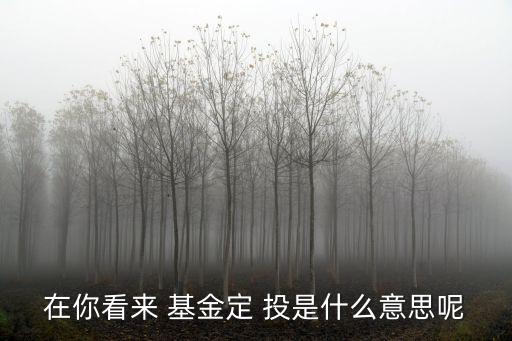 在你看來 基金定 投是什么意思呢