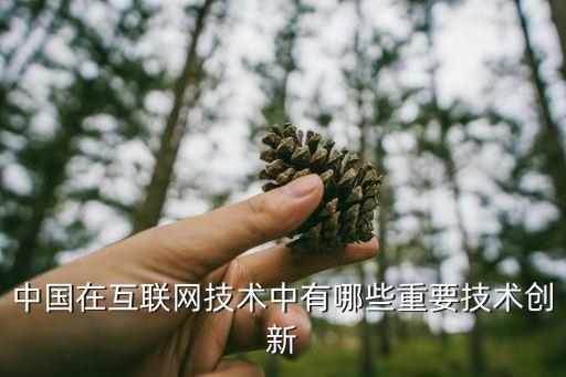 中國在互聯(lián)網(wǎng)技術(shù)中有哪些重要技術(shù)創(chuàng)新