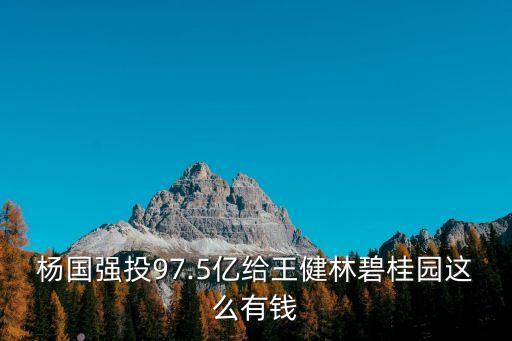 楊國強投97.5億給王健林碧桂園這么有錢