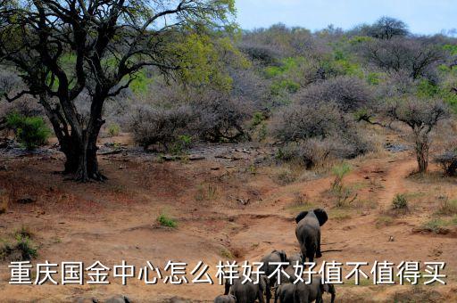 重慶國(guó)金中心怎么樣好不好值不值得買