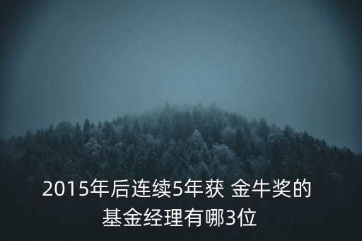 金?；鹈麊?2022年金牛基金榜單