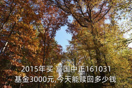 2015年買(mǎi) 富國(guó)中正161031基金3000元,今天能贖回多少錢(qián)