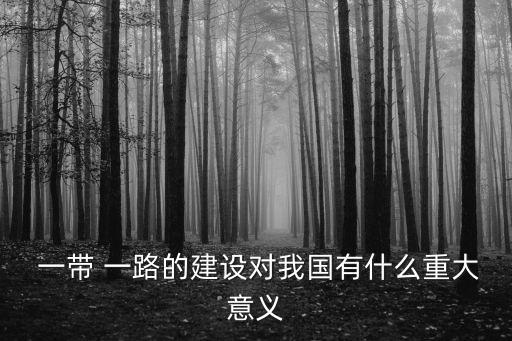 一帶一路戰(zhàn)略給中國帶來的影響