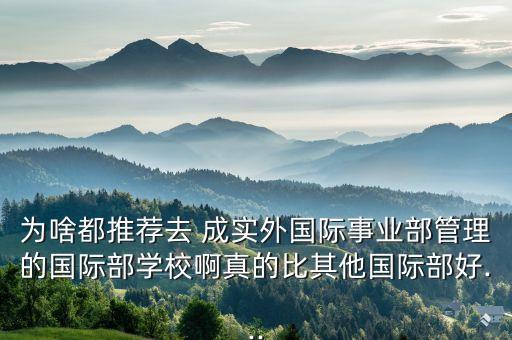 為啥都推薦去 成實(shí)外國(guó)際事業(yè)部管理的國(guó)際部學(xué)校啊真的比其他國(guó)際部好...