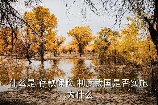 什么是 存款保險 制度我國是否實施,為什么