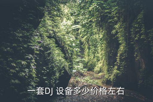 做dj需要投資什么設(shè)備,做個dj需要什么條件