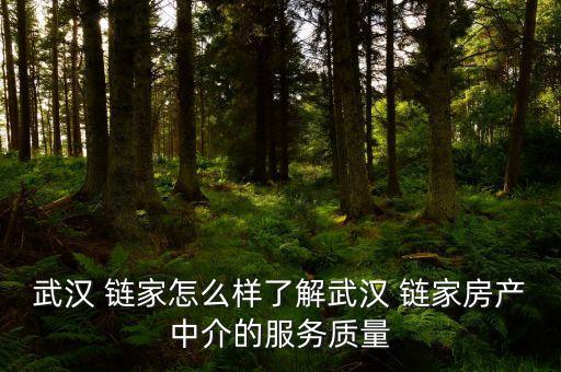 武漢 鏈家怎么樣了解武漢 鏈家房產(chǎn)中介的服務(wù)質(zhì)量