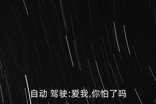 自動(dòng) 駕駛:愛我,你怕了嗎