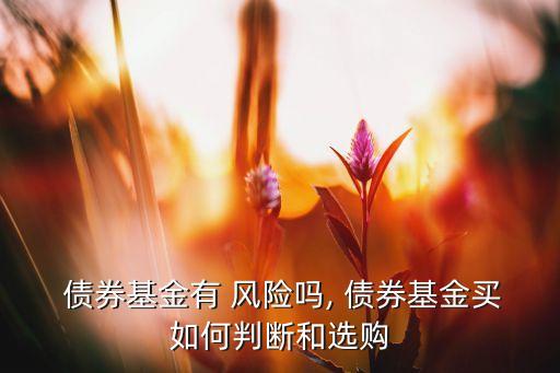  債券基金有 風(fēng)險(xiǎn)嗎, 債券基金買如何判斷和選購(gòu)