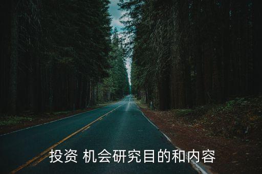  投資 機(jī)會(huì)研究目的和內(nèi)容