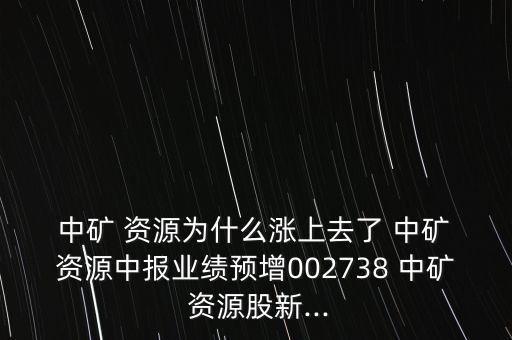  中礦 資源為什么漲上去了 中礦 資源中報(bào)業(yè)績(jī)預(yù)增002738 中礦 資源股新...