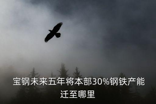  寶鋼未來五年將本部30%鋼鐵產(chǎn)能遷至哪里