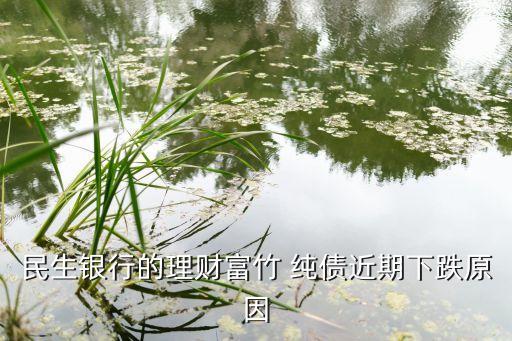 民生銀行的理財(cái)富竹 純債近期下跌原因