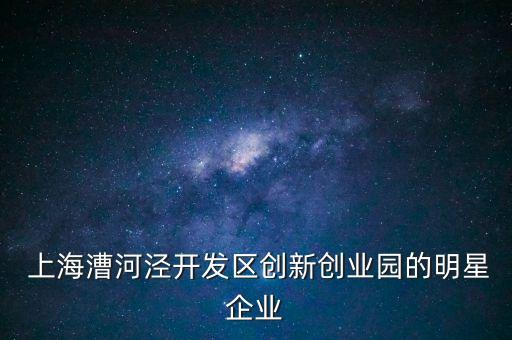  上海漕河涇開(kāi)發(fā)區(qū)創(chuàng)新創(chuàng)業(yè)園的明星企業(yè)