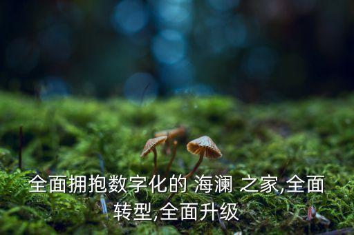 全面擁抱數(shù)字化的 海瀾 之家,全面轉型,全面升級