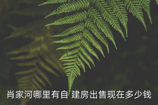 肖家河哪里有自 建房出售現(xiàn)在多少錢