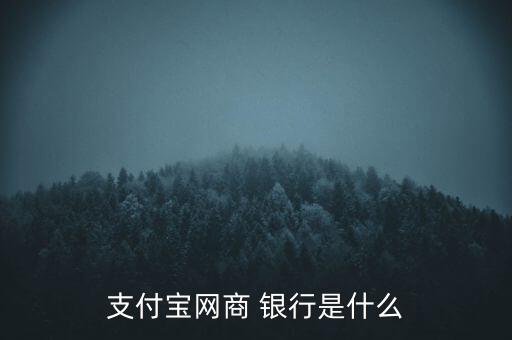 云計算銀行,網商銀行的云計算