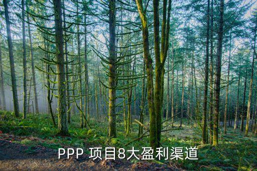 PPP 項(xiàng)目8大盈利渠道