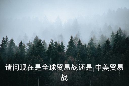 請(qǐng)問現(xiàn)在是全球貿(mào)易戰(zhàn)還是 中美貿(mào)易戰(zhàn)