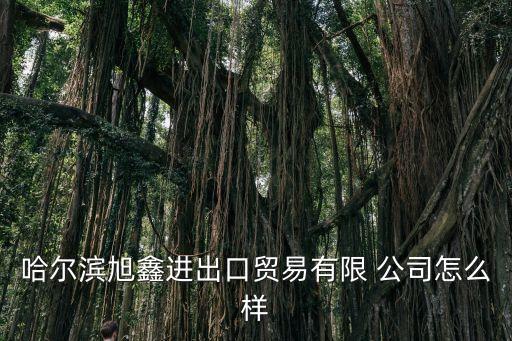 哈爾濱旭鑫進出口貿(mào)易有限 公司怎么樣