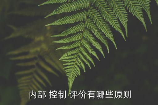 集團(tuán)性企業(yè)內(nèi)部控制重點(diǎn)評(píng)價(jià)范圍,企業(yè)成本費(fèi)用內(nèi)部控制的重點(diǎn)在于