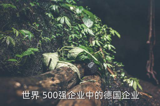  世界 500強(qiáng)企業(yè)中的德國(guó)企業(yè)