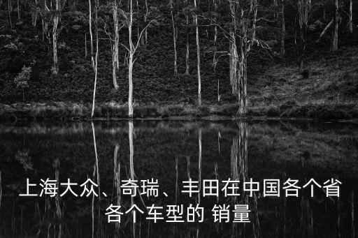  上海大眾、奇瑞、豐田在中國各個(gè)省各個(gè)車型的 銷量