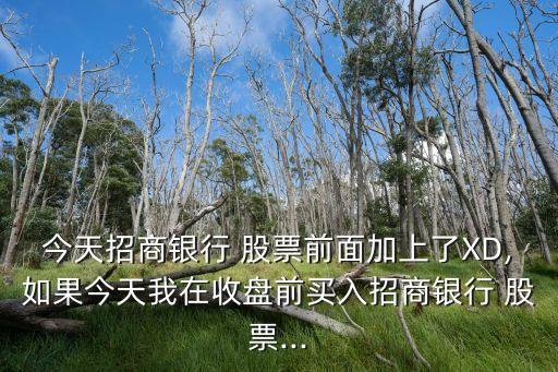 今天招商銀行 股票前面加上了XD,如果今天我在收盤前買入招商銀行 股票...