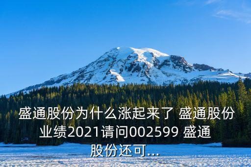  盛通股份為什么漲起來了 盛通股份業(yè)績2021請問002599 盛通股份還可...