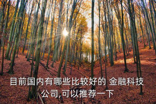 目前國內(nèi)有哪些比較好的 金融科技 公司,可以推薦一下