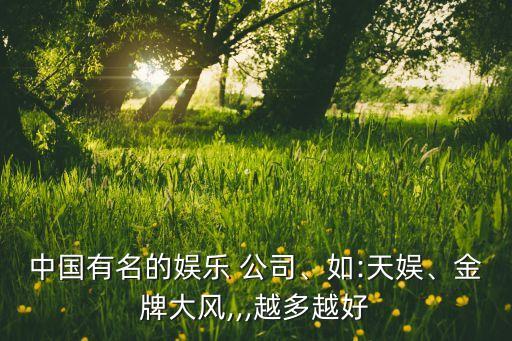 中國有名的娛樂 公司、如:天娛、金牌大風(fēng),,,越多越好