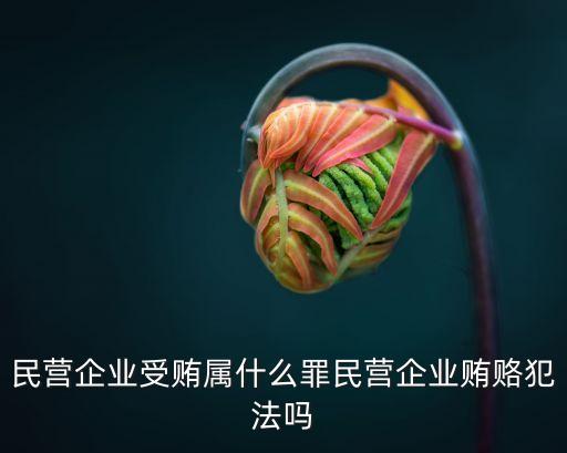 給私營(yíng)公司回扣算行賄