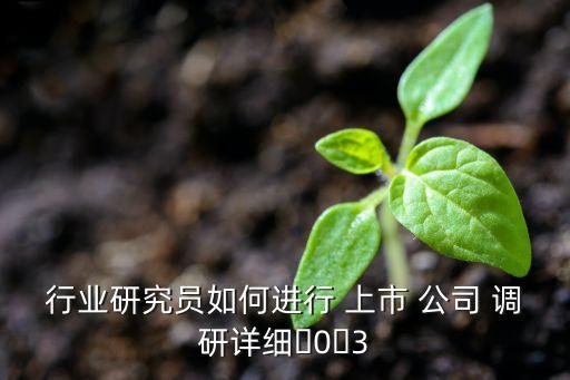 行業(yè)研究員如何進行 上市 公司 調(diào)研詳細(xì)?0?3