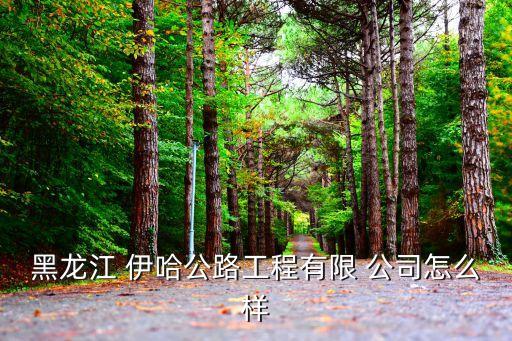 黑龍江 伊哈公路工程有限 公司怎么樣