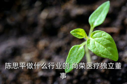 陳思平做什么行業(yè)的 尚榮醫(yī)療獨(dú)立董事