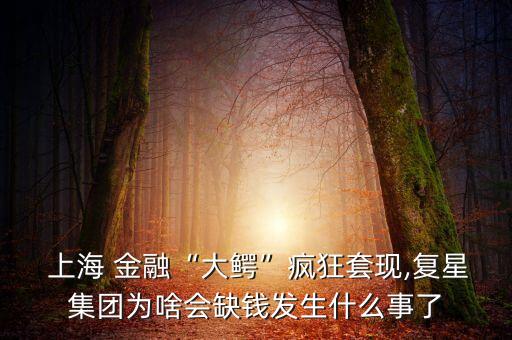  上海 金融“大鱷”瘋狂套現(xiàn),復星集團為啥會缺錢發(fā)生什么事了