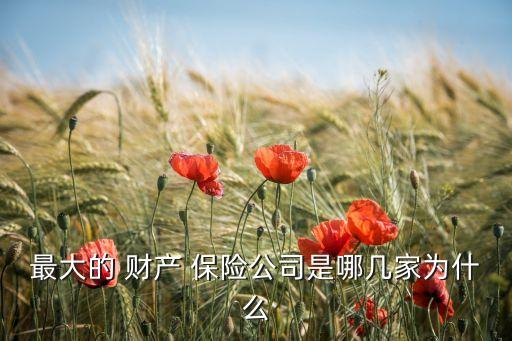 2014年財(cái)產(chǎn)保險(xiǎn)公司排名,大家財(cái)產(chǎn)保險(xiǎn)公司排名全國(guó)第幾