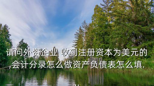 請問外資企業(yè) 收到注冊資本為美元的,會計(jì)分錄怎么做資產(chǎn)負(fù)債表怎么填...